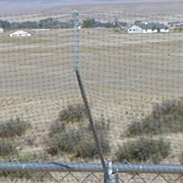 Cat Fence