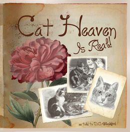 Cat Heaven