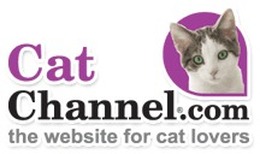 Cat Channel Logo