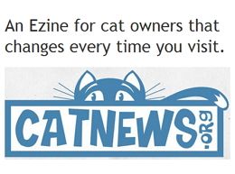 Cat News Logo