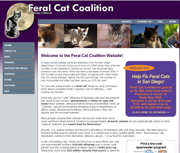 Website Sneak Peak