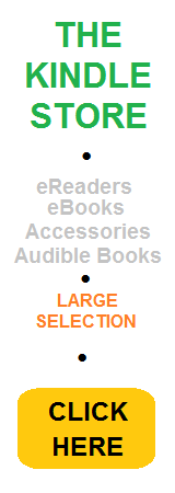 The Kindle Store