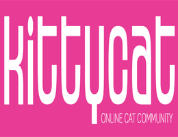 Kitty Cat