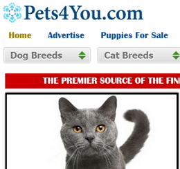 Pets4you.com