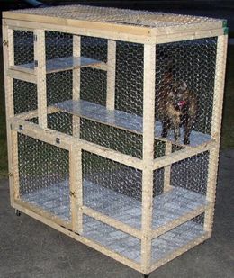 Homemade Cat Cage